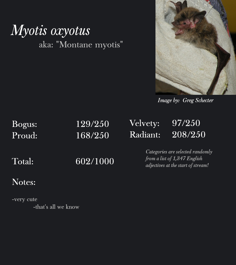 Myotis oxyotus